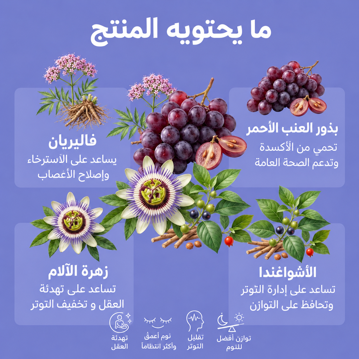 نوم طبيعي 60 كبسولة — 4